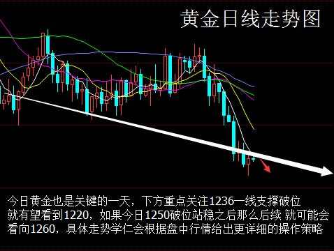 鹏哥解盘：12.13黄金原油操作策略 美联储加息你准备好了吗