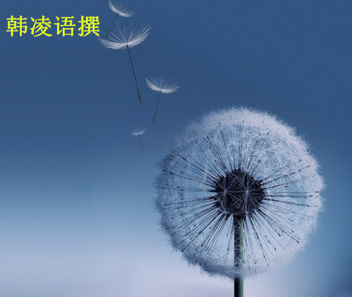 【名家】韩凌语:9.12欧佩克月报告对原油沥青有何影响?原油沥青还会涨吗?