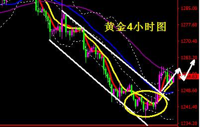 蒋妍琋：黄金大跌后有反弹调整需要 原油跌势成定局高空对待