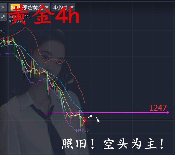 沈云伊：12.12加息前后黄金如何操作？套单还有解吗？