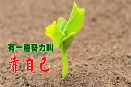 郑怀凡:3.6周评美联储加大非农黄金白银原油下周大爆炸