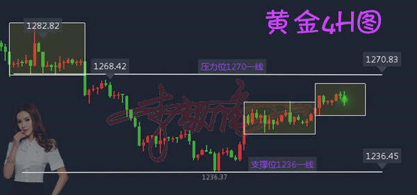 李靓依：12.20税改倒计时，黄金已空仓？百万盈利凌晨不见不散！