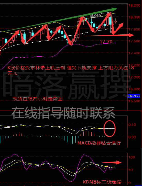 暗落赢：2.15午评金银多头躲过耶伦放鹰API原油坚挺日间操作