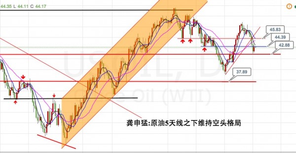 龚申猛：本周黄金1315之上，白银19之上，只多不空！