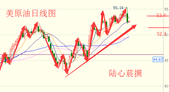 陆心莀:1.4OPEC减产前景变数多,原油白银操作建议
