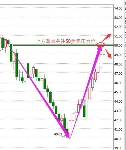 张菀玥:8.21女排九登辉煌顶峰,原油多头号角能否再次打响?