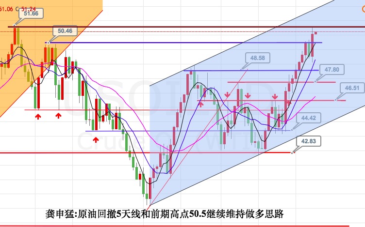 龚申猛:黄金似弹还跌空不变,原油回撤50.5顺势多!