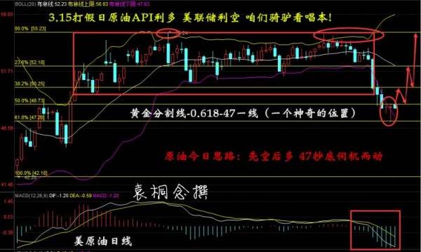 袁桐念:3.15美联储加息携EIA强势来袭晚间原油白银怎么看?