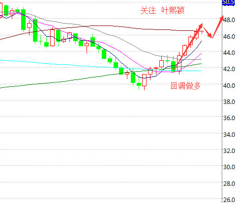 叶熙颖:原油不眠夜,晚间2大重磅数据来袭