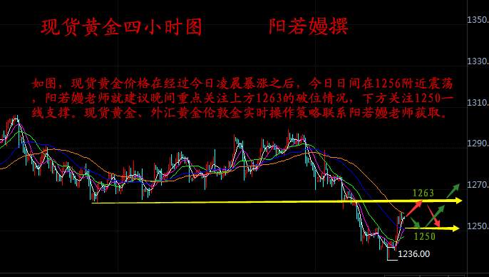 阳若嫚：12.14现货黄金、创利丰国泰金业晚间技术分析及操作建议