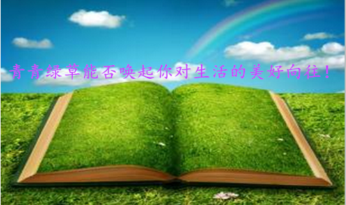 朱彘羽：投资过程中你为何迷茫？如何完美获利？