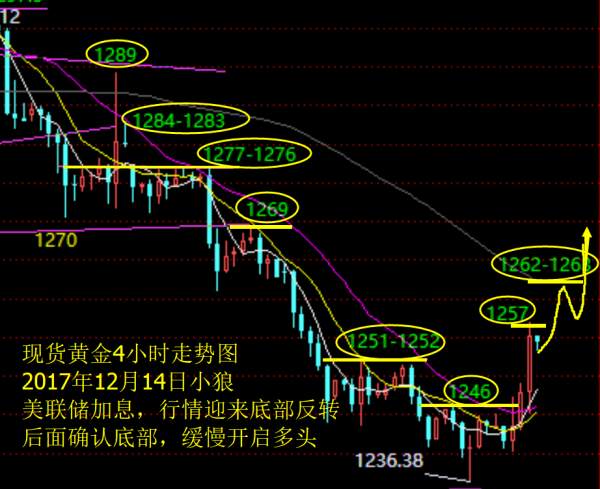 Followme加息,行情,看好,讲解,视频,反转