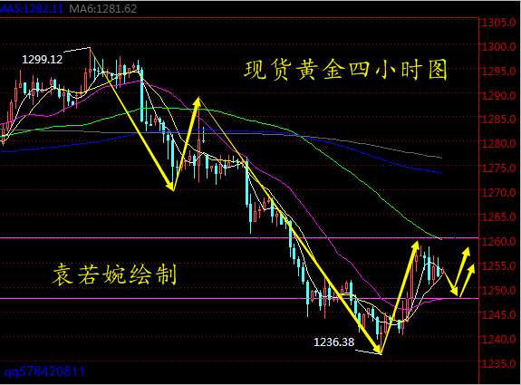 Followme袁若婉,黄金,林带,欧盘,套单,加拿大