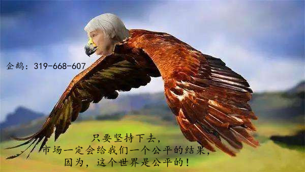 李靓依:3.4白银原油下周走势分析,你该关注的重点就是这个
