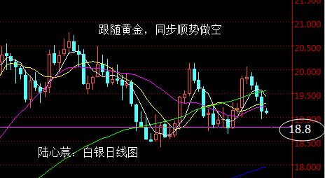陆心莀:冻产艰阻油价续跌,黄金顺势空