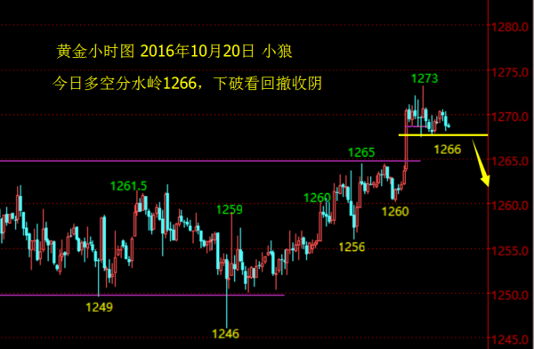 小狼:黄金1266分水岭,早盘不急做多