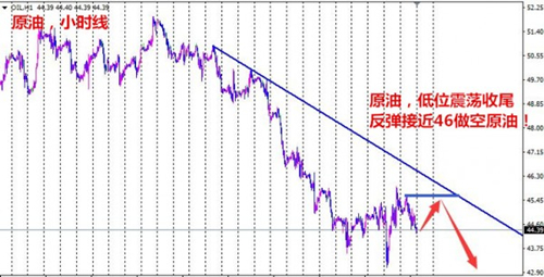 夏钧姗：11.11周线收官OPEC峰会步步紧逼原油沥青还会涨吗？