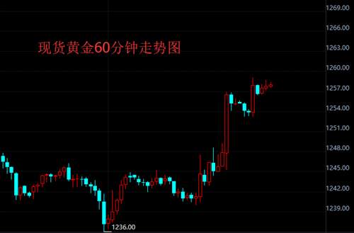 齐鑫韵：美联储如期加息空头终结？金价还会上升么？
