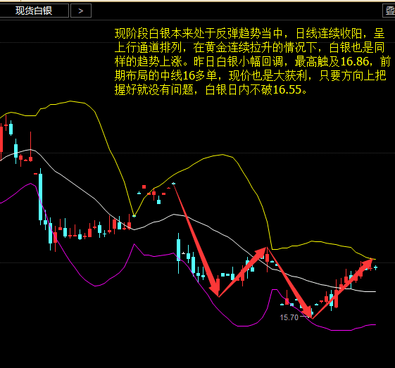 李朦汀:1.13特朗普效应渐散 白银涨势有所放缓