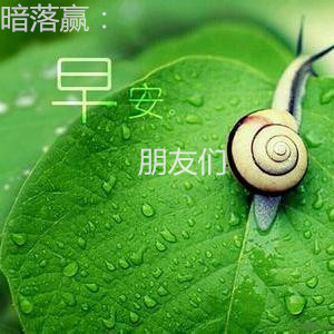 暗落赢：白银原油的暴涨暴跌，白银原油日间利润把控多空解套