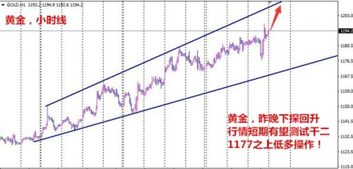 夏钧姗：1.12多重利好因素金价现V型反转，黄金今日走势分析