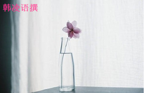 【名家】韩凌语:10.11昨晚原油为何暴涨?今日原油走势分析