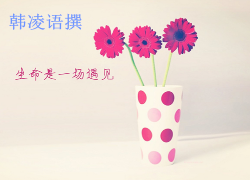 【名家】韩凌语：9.27昨晚原油为何暴涨？原油沥青日内操作策略