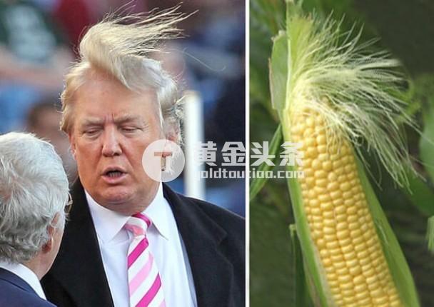 重磅！特朗普唯一女幕僚称美国将重回金本位