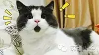 深圳入户条件放宽，入户更容易啦！