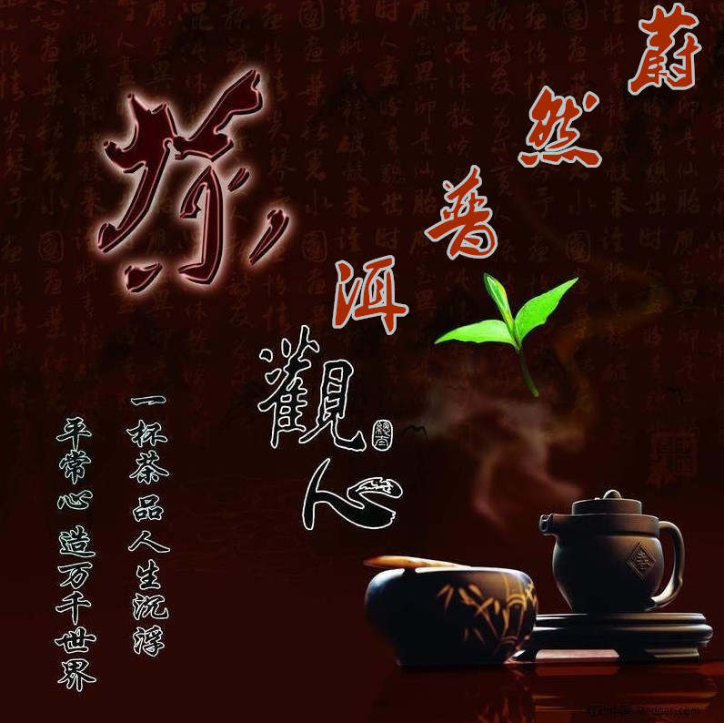 新年普洱茶市场全线飘红，2月7日蔚然普洱行情走势解析