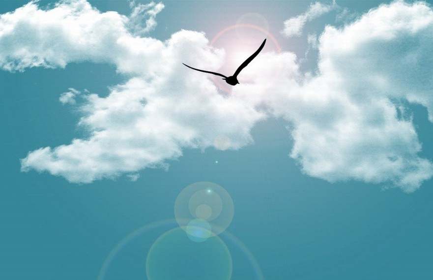 朿金刀：每天一个小故事之“投资四宗罪”