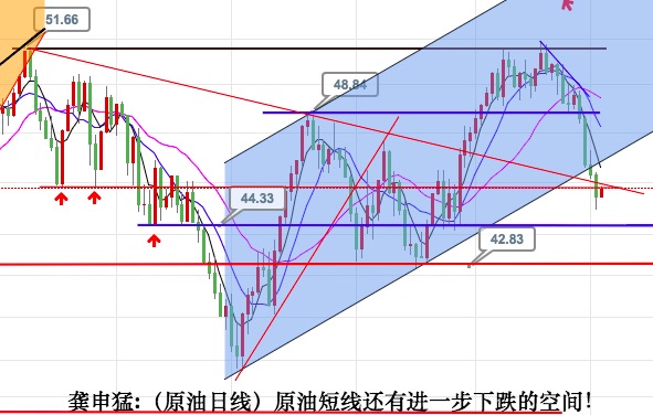 龚申猛:黄金1330之下有望迎来百点波段空头!