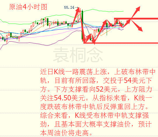 袁桐念：1.9 原油强弩之末油价冲高无望？日内原油白银操作建议