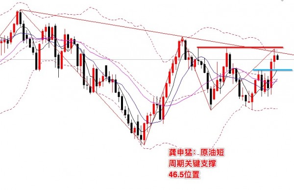 龚申猛：黄金持有1317多单，原油紧急调仓！