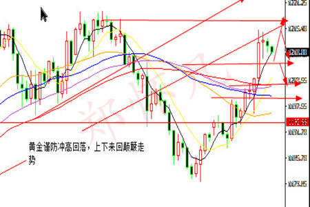 Followme探底,反应,黄金,走势,出来,可能