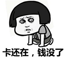 双11 |交易狂欢节 别人剁手你赚钱
