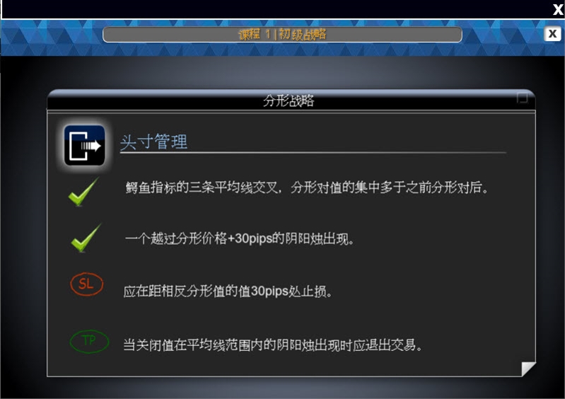 分型战略