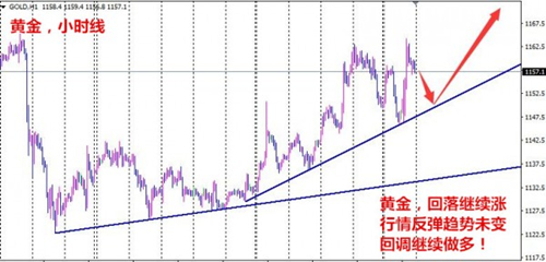 夏钧姗：1.4三大看点决定黄金走势 空单被套择机出局附日内操作建议！
