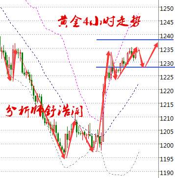 Followme舒浩闻,原油,金价,预见,加息,油价