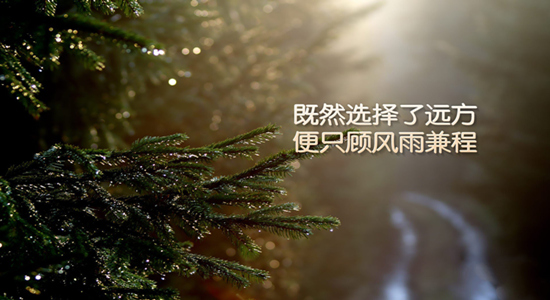 王易耀:非农来袭美联储暗示加息,黄金再临千三争夺
