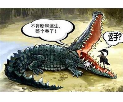 【午夜鸡汤】投资一定要敢于止损