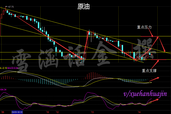 雪涵话金：EIA是否再次爆冷，9.14空头被扫会不会再次出现？