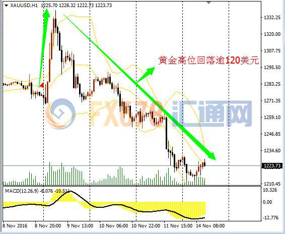 从特朗普“新政” 看美元狂欢金价暴跌大宗商品盛宴