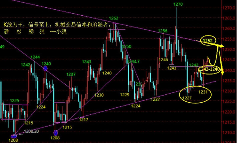 黄金依托1239挑战1252，原油继续多