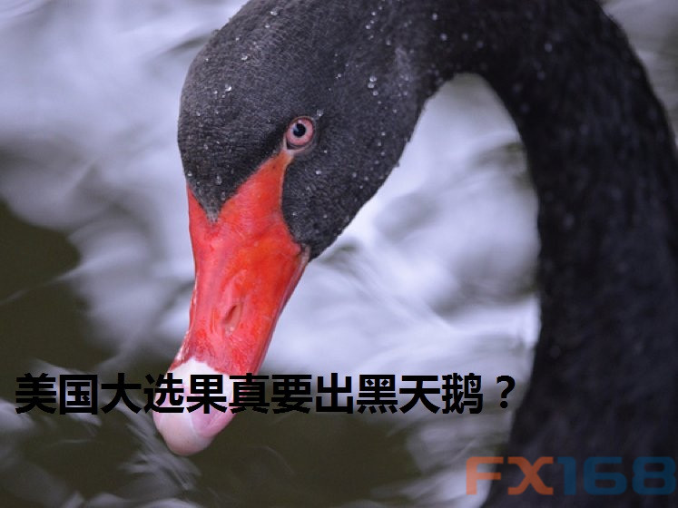 美国大选果真要出黑天鹅?大选风向标货币暴跌