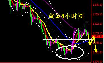 蒋妍琋：黄金命悬税改高空对待 原油一波三折仍须空