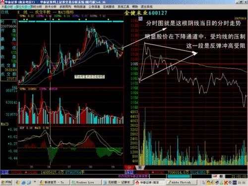 宋清婉：12.4 K线系统中的分时图上白线与黄线的含义！