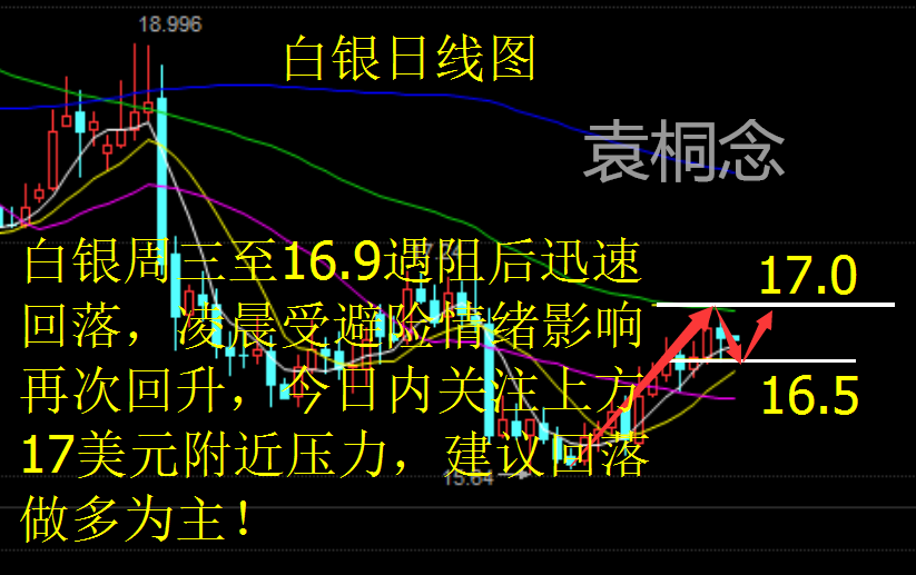 袁桐念：1.12特朗普携减产助油价上涨 日内原油白银如何把握？