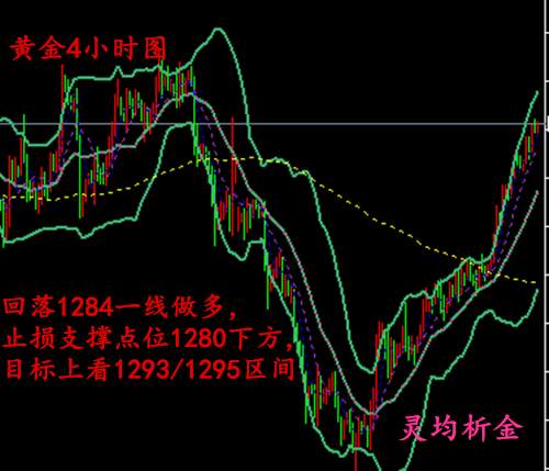 Followme林带,黄金,运行,操作,止损,关注