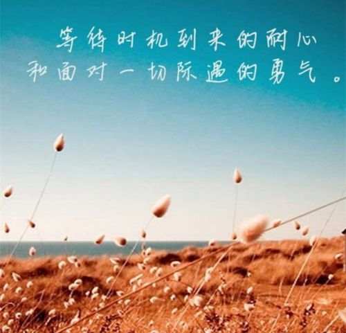 单晨金：亦师亦友，真诚陪伴，我愿与你同行